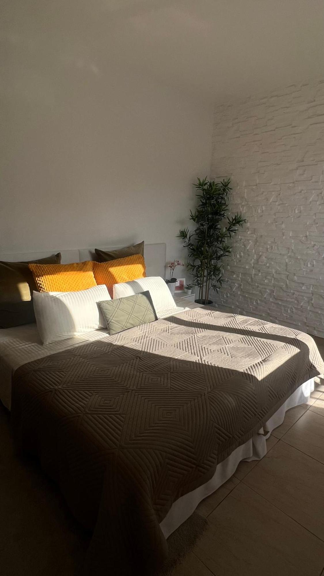 Ferienwohnung Tenerife Te Espera! Icod De Los Vinos Exterior foto